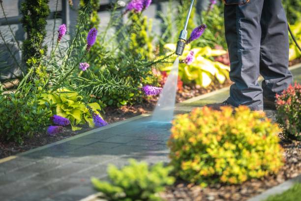 Reliable Mountain Lakes, NJ Pressure Washing Services Solutions